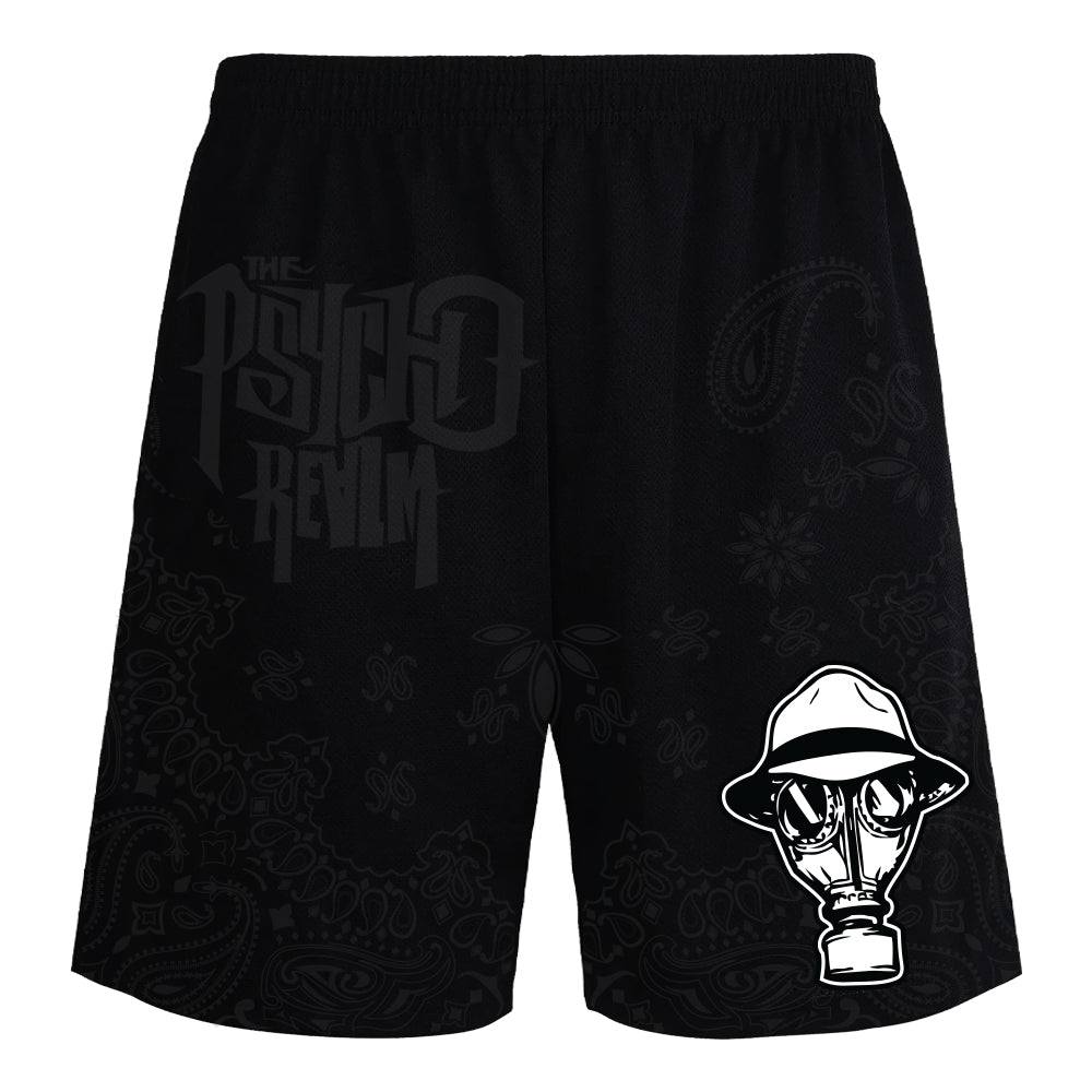 GM Shorts